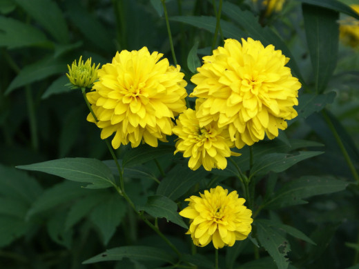 426298 (a): :1600x1200